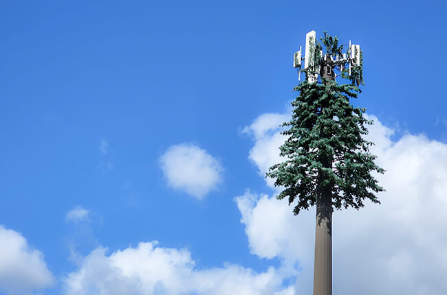 Stealth towers (flagpole, pine tree, church steeple, bell tower)